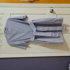 Everlane Oxford Shirtdress - Light Blue